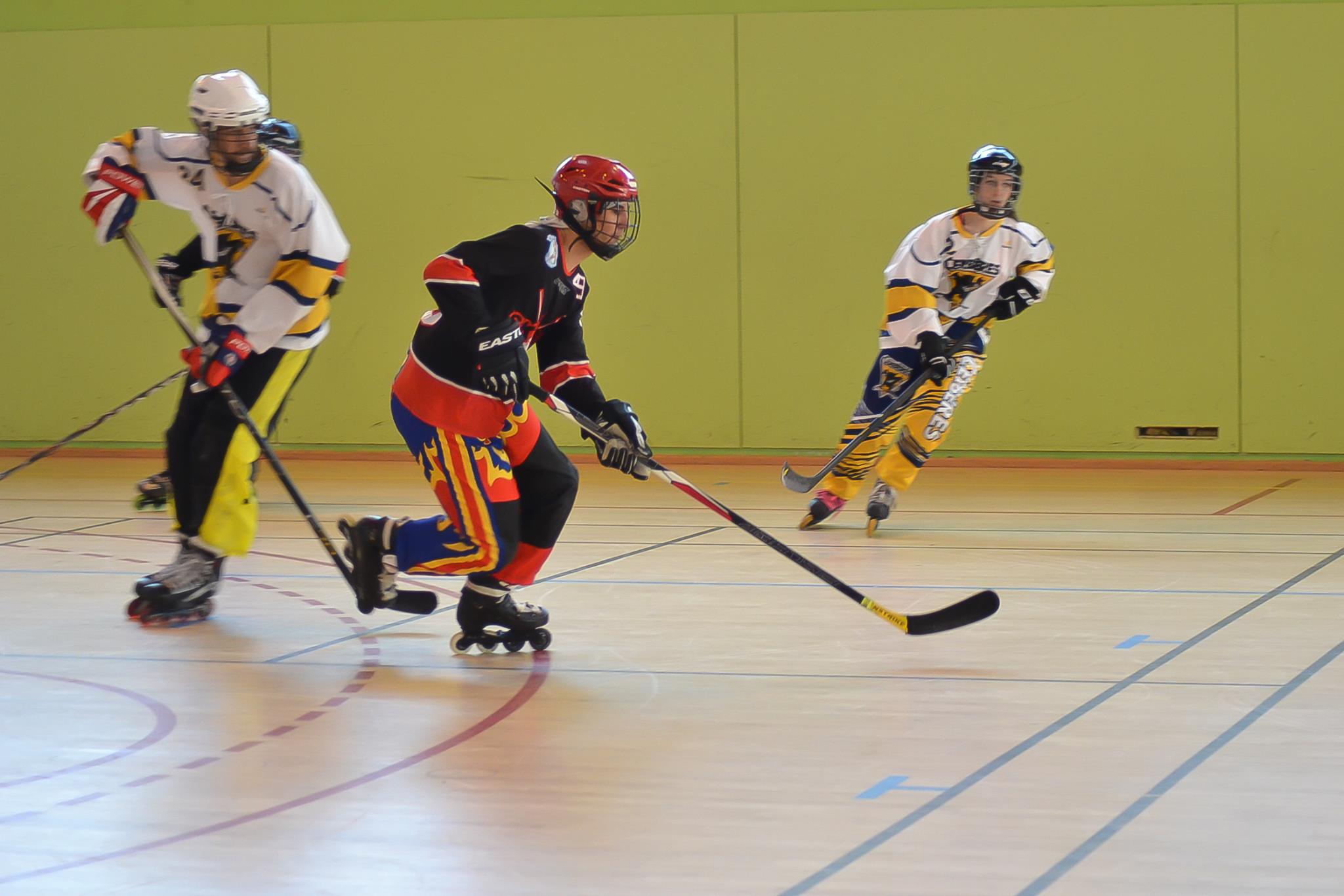 ROLLER HOCKEY photo